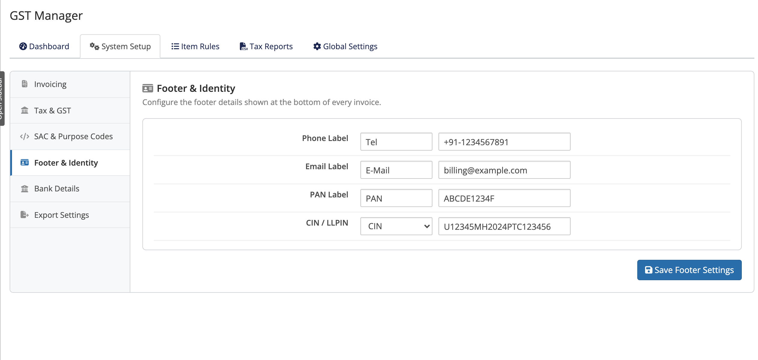 Footer & Identity fields